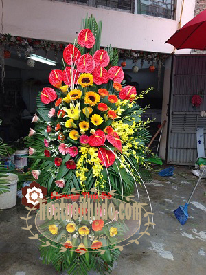 dien hoa, Hoa mừng khai giảng 2015